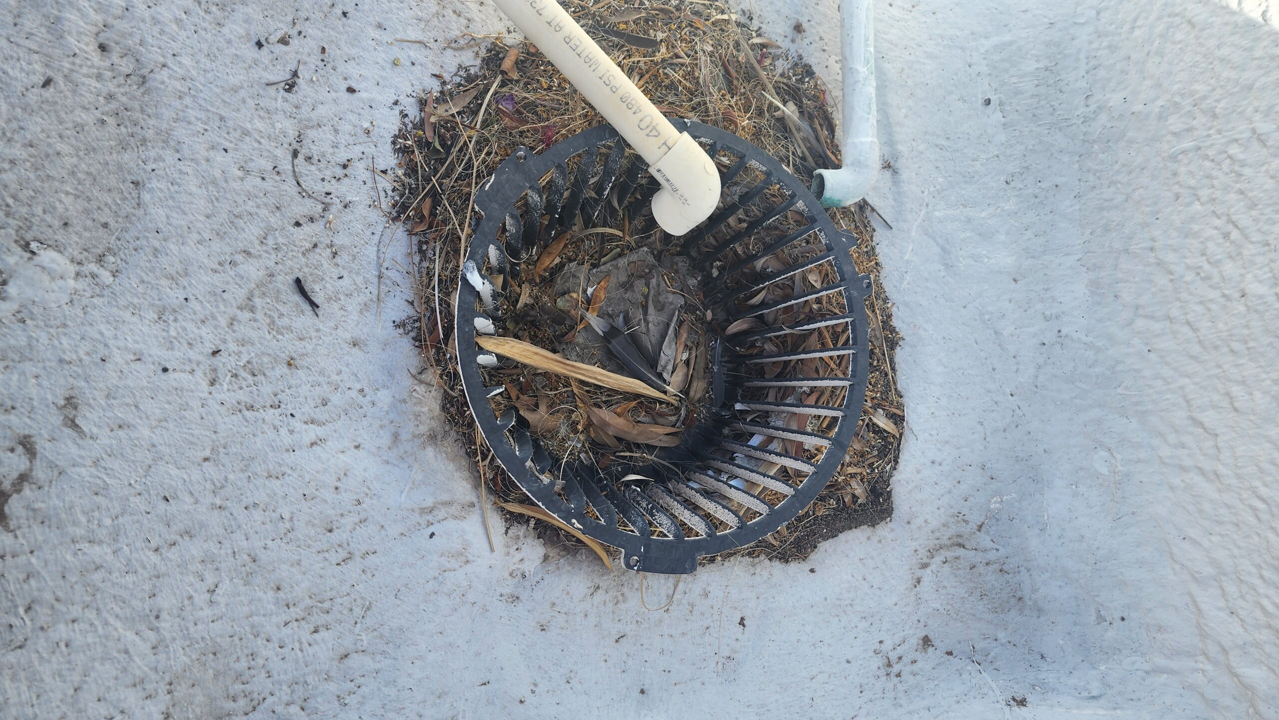 Clogged flat roof drain in Phoenix Arizona causing water backup and potential roof leak
